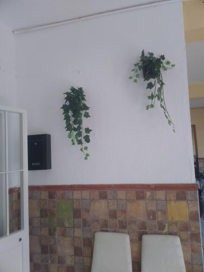 Precioso Apartamento Moderno Cerca Del Carrefour Rosaleda Malaga Exterior photo